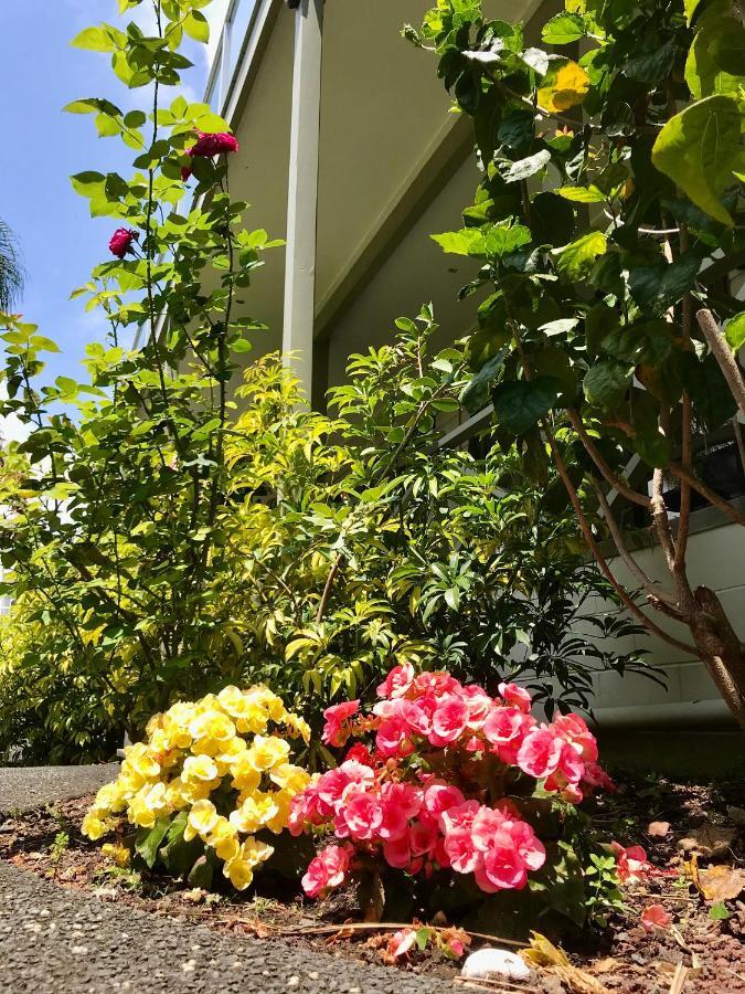 Motel Bounty 4*
